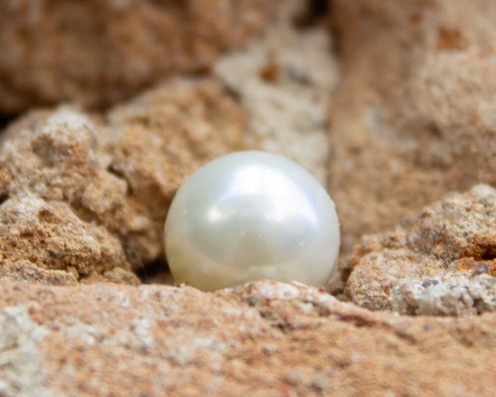 After finding one pearl of great value…