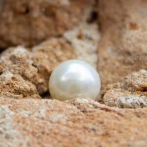 After finding one pearl of great value…